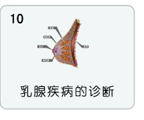 乳腺疾病的诊断