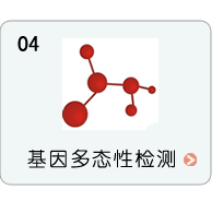 基因多态性检测